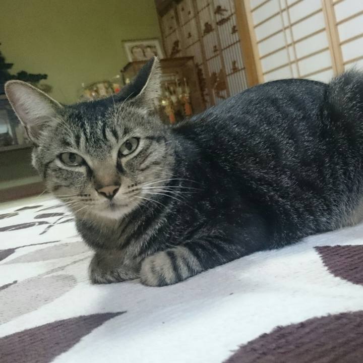 B8983c05 89db 44ca aa34 4fa56e9fe08f