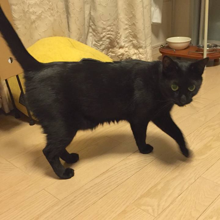 B8984e42 69eb 46d0 a397 2090b0135433