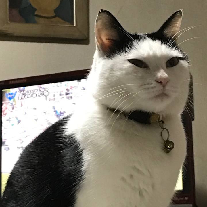 B89866b7 1ed2 4b4a 8b14 dbe3c601988b