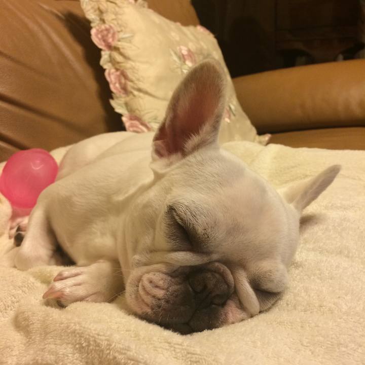 B8988cd7 faec 40f3 963f 9b1f358a8fd3