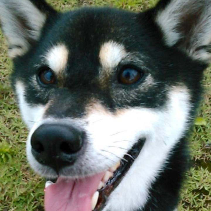 B8992b8b 65c6 4682 9549 56f5da658a09