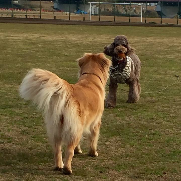 B8993ec2 6ba2 4b03 849d 120bbba3a265