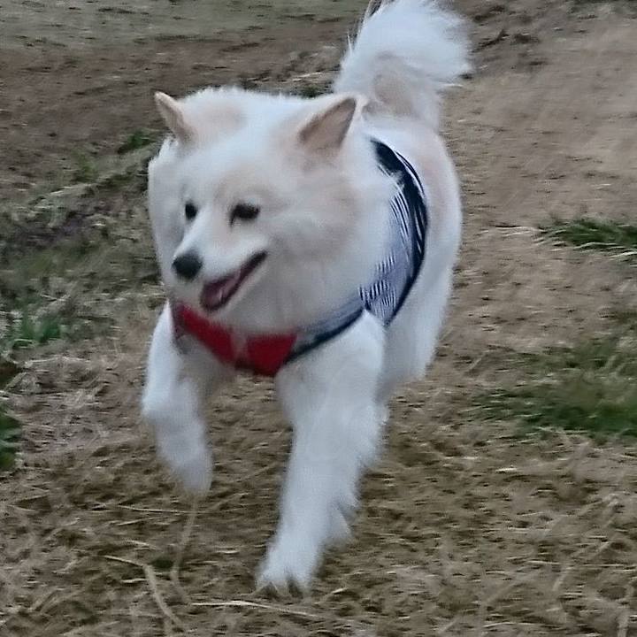 B89972a9 4fef 4142 8aea 4233d8ef58a2