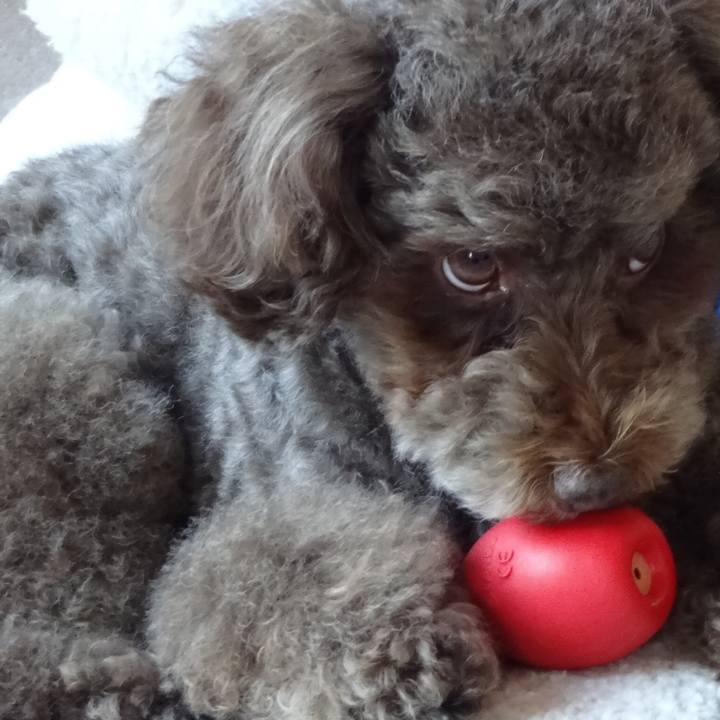 B899ad1f 40b2 4bdf 818d 279a214ceb62