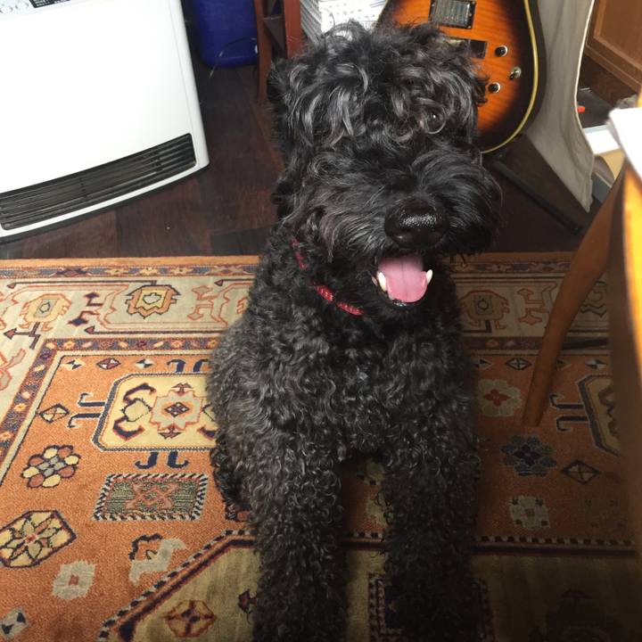 B899eba1 cd7c 4068 97ae 8181e2236c7c