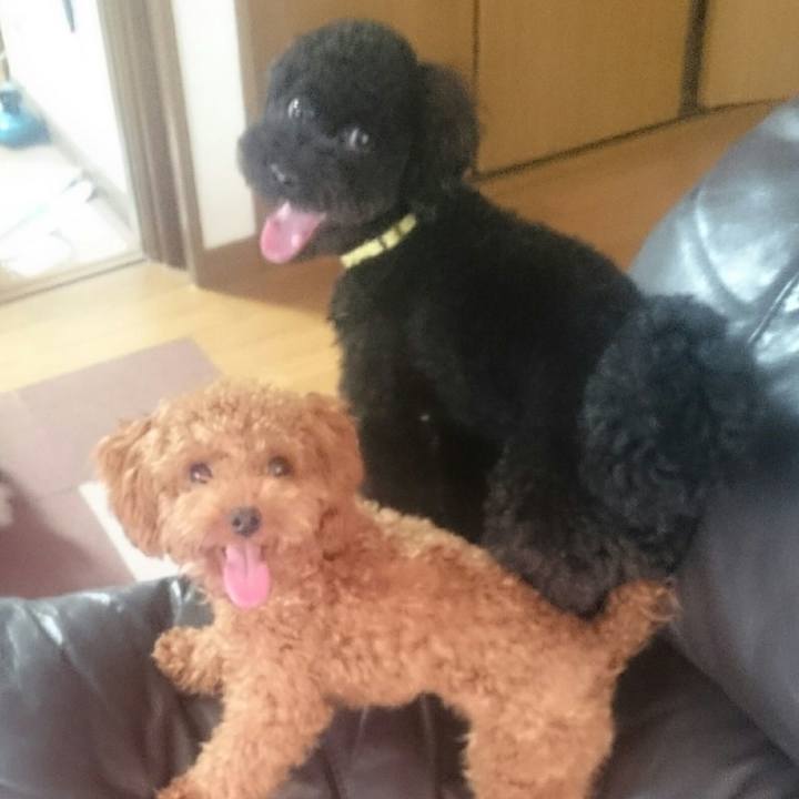 B899fac8 7f6b 4024 8eb4 96e14496c7c7