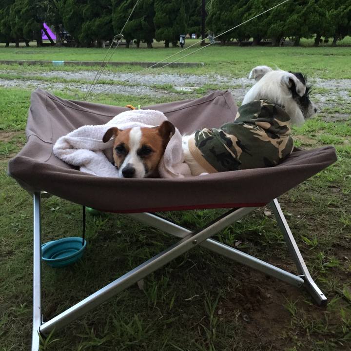 B89a29b9 212a 4dd7 b4e3 ede4b4d66006