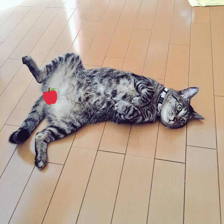 B89a93be 0783 42e1 9ac0 a300200c068b