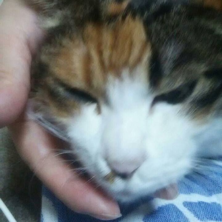 B89ac4ee 6c98 4c15 880f bd7d52bac85b