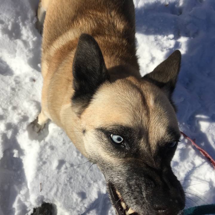 B89ac5d1 5360 4855 b5f3 ff81a4e2fd1b