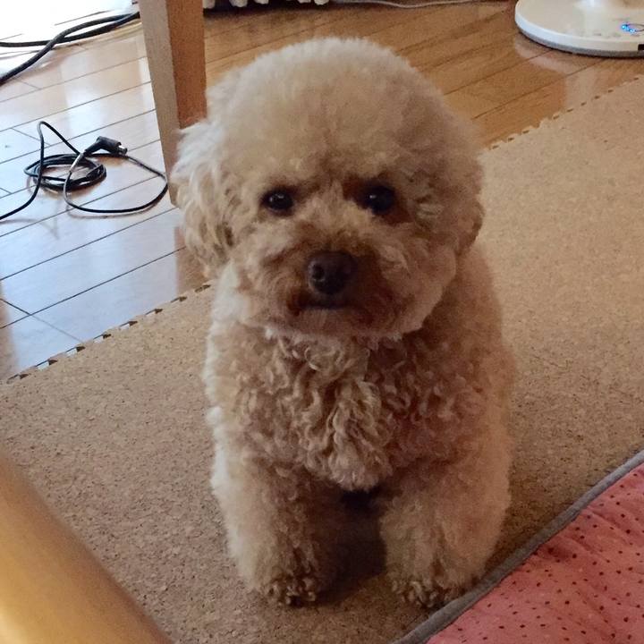 B89adfee 410b 4f7d a4a1 d3b6852b4503