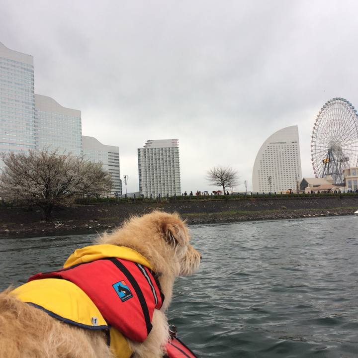 B89b7bad 9627 414f a70f f1813fd99eca