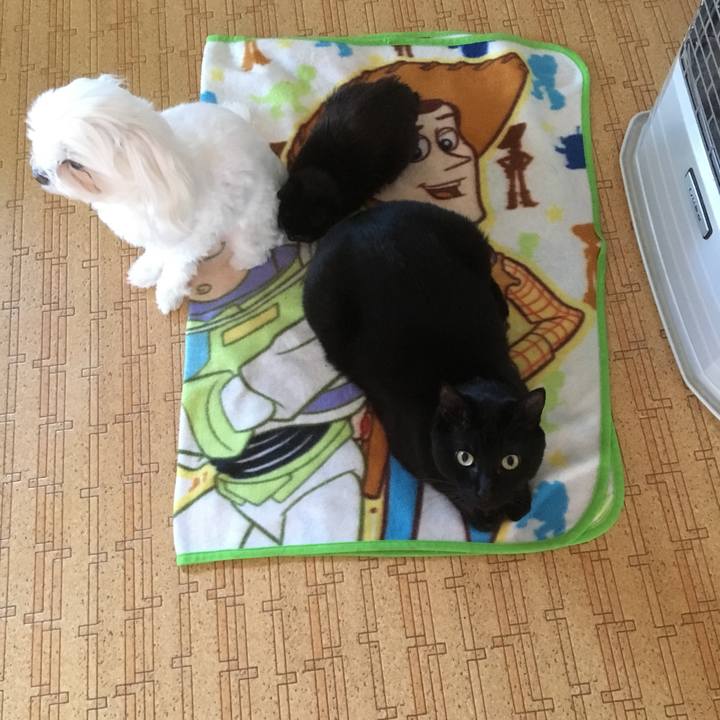 B89bb56f 3f43 472d b04b d1fdceba7e59