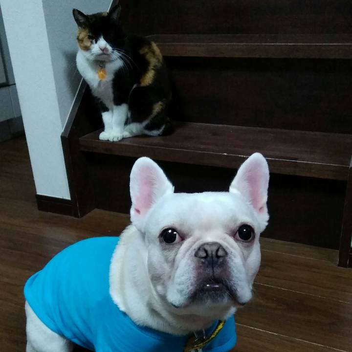 B89bb79f c8b2 498e 8834 be77f61bc8d3