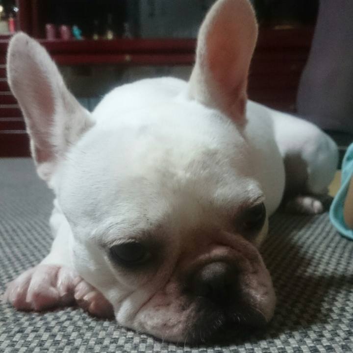 B89c15ce cd3c 45f9 90dd 7897124d2959