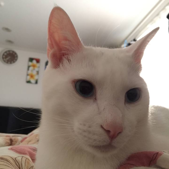 B89c3b88 37dc 4e50 b8ef 427ce717f431