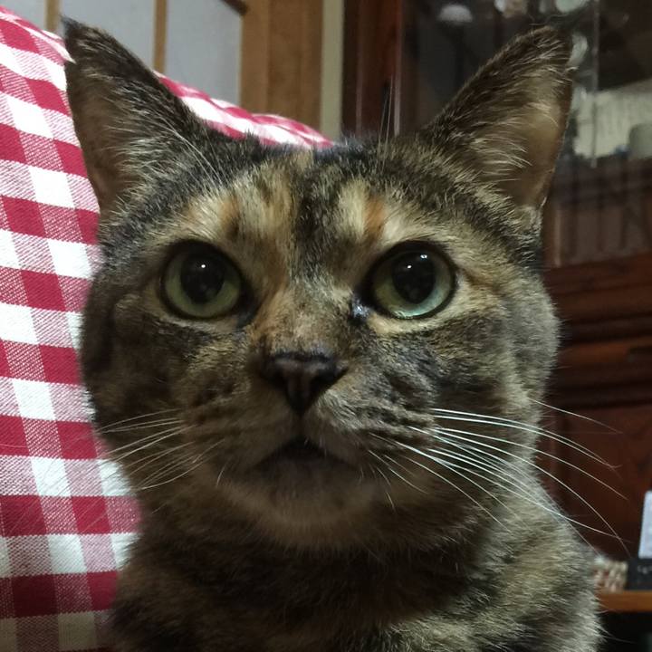 B89c658e 21c7 49fe 9fe7 5e0fe1487118