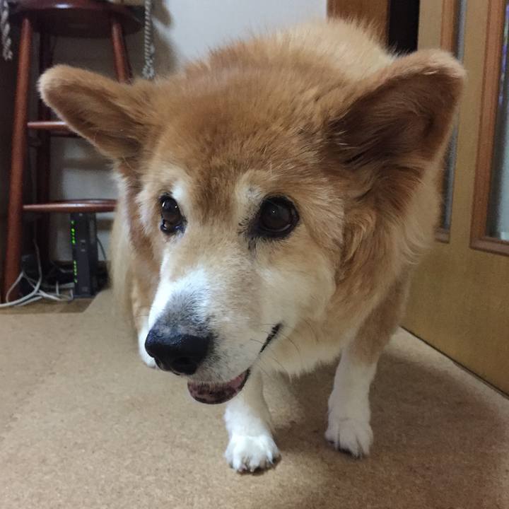 B89cc556 f63b 4550 bd3c 1d2c452b8619