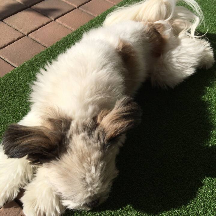 B89d4ed9 604e 48ce 8886 2f29b113193e