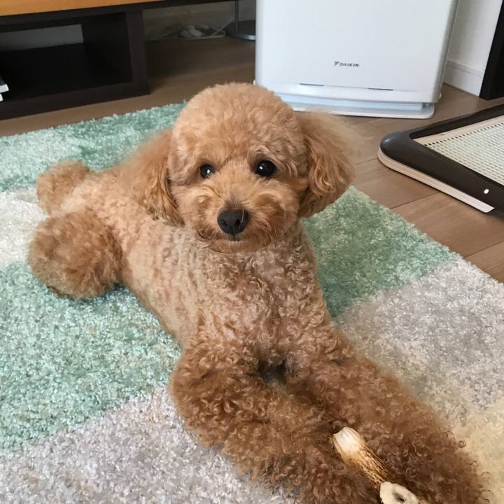 B89da072 2cd5 4e98 b9a3 108d54a779d6