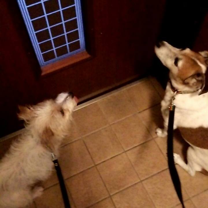 B89e1030 a408 46cf aefa 9174b0248a35