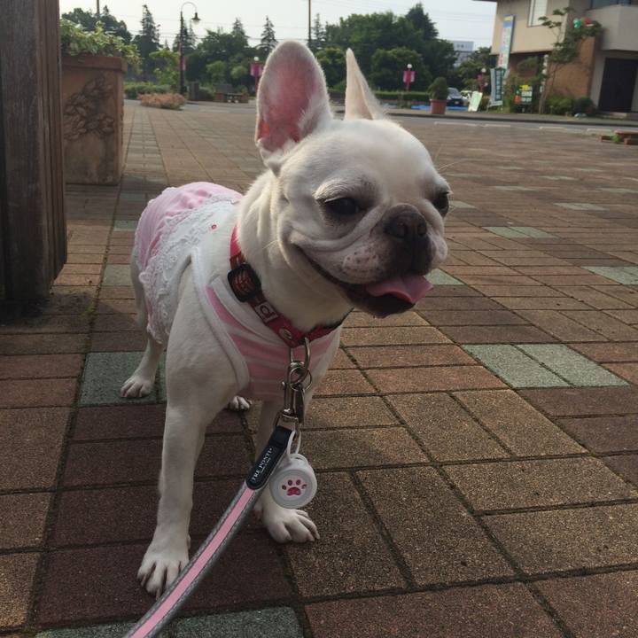 B89e5631 7682 4b1f 869a 300412b6c4a9