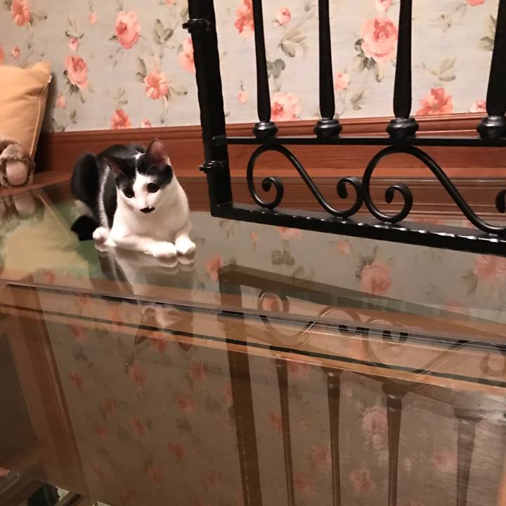 B89e91b7 59a3 41d5 a6d3 fd3690c24650