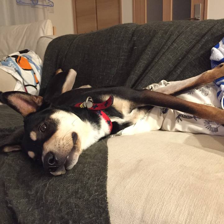 B89ed516 4bab 44d8 b909 4f6207a92b10