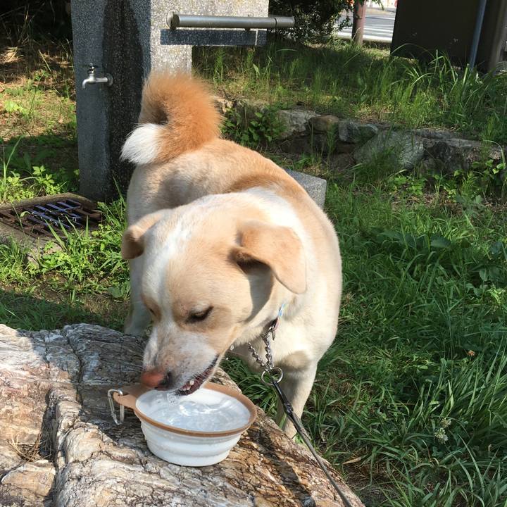 B89ee937 a5ea 4e5c a7ef 1e4535ef6820