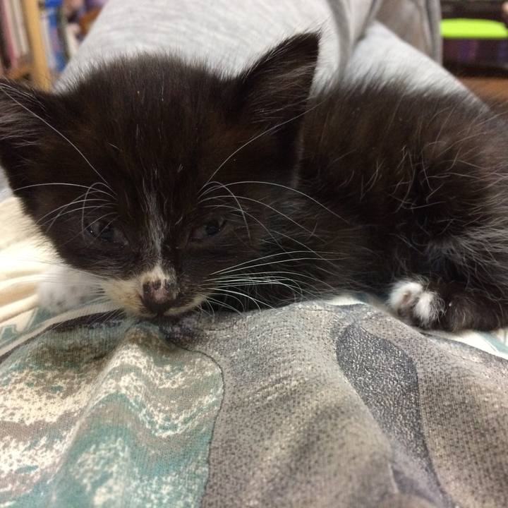 B89f0efc 90ea 4d1c a11f 7eeb6d0f3332