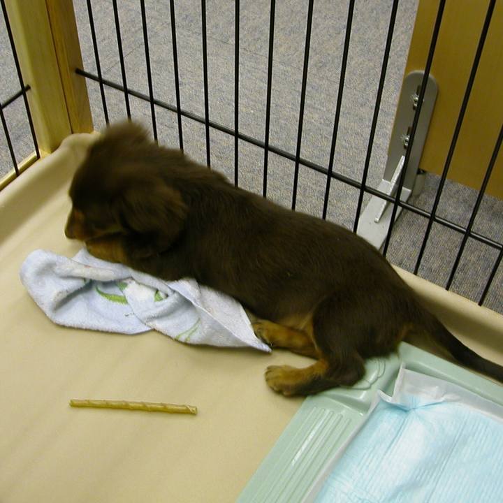 B89fe6fb 0ca3 4a68 9829 dfb05daa9e79