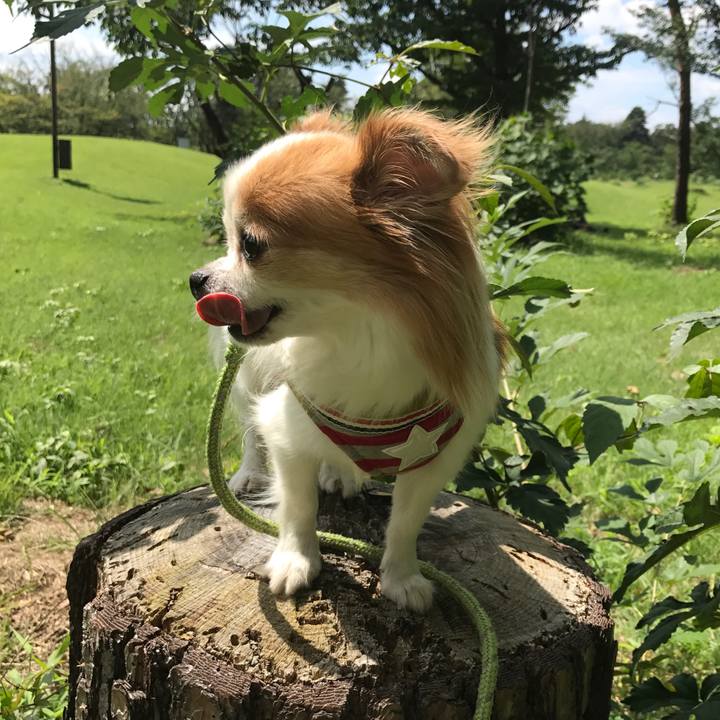 B8a0204d 9dfd 47b3 9d9a 3608339972a0