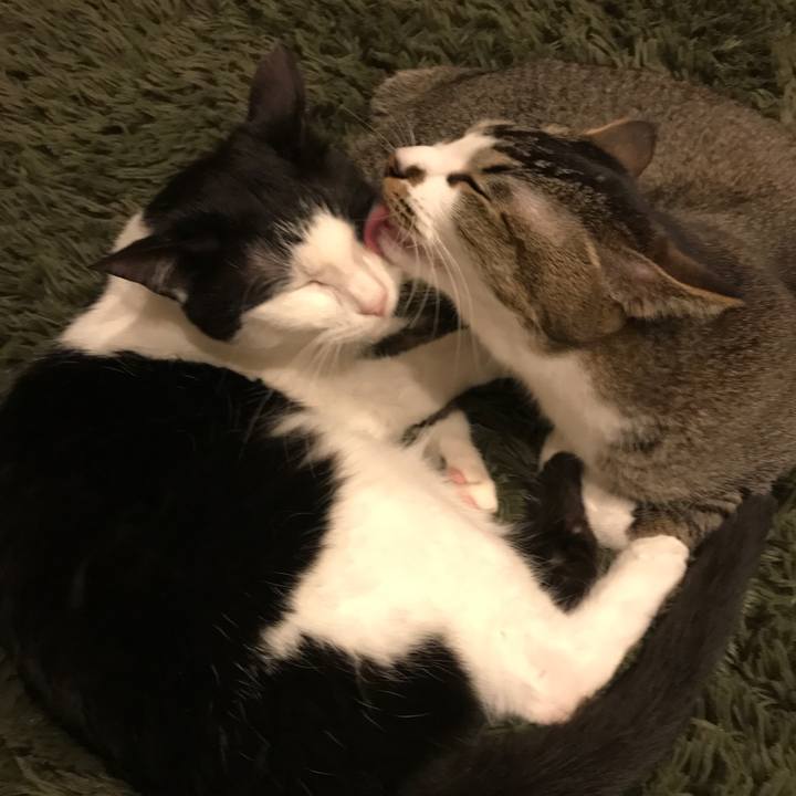 B8a042e7 b81f 45cb bd4a 248dae4ae7e0