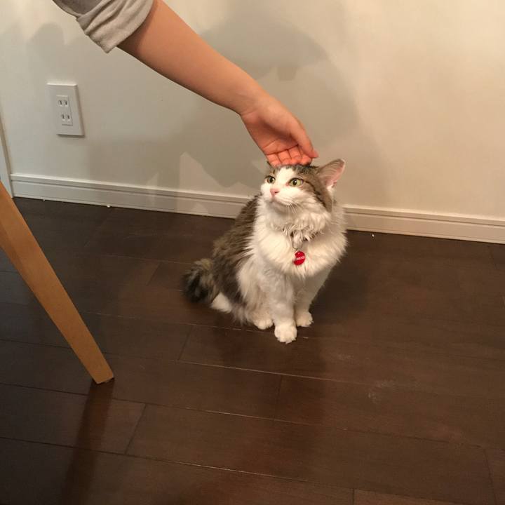 B8a07340 fcf1 4b00 af75 8eb4c02756e8