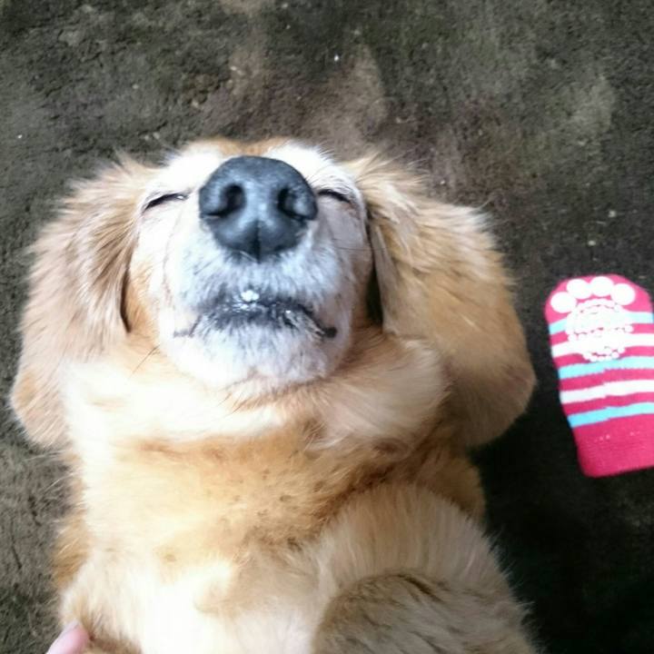 B8a0d64e 82c6 41a8 8fc4 f31b6dbed28f