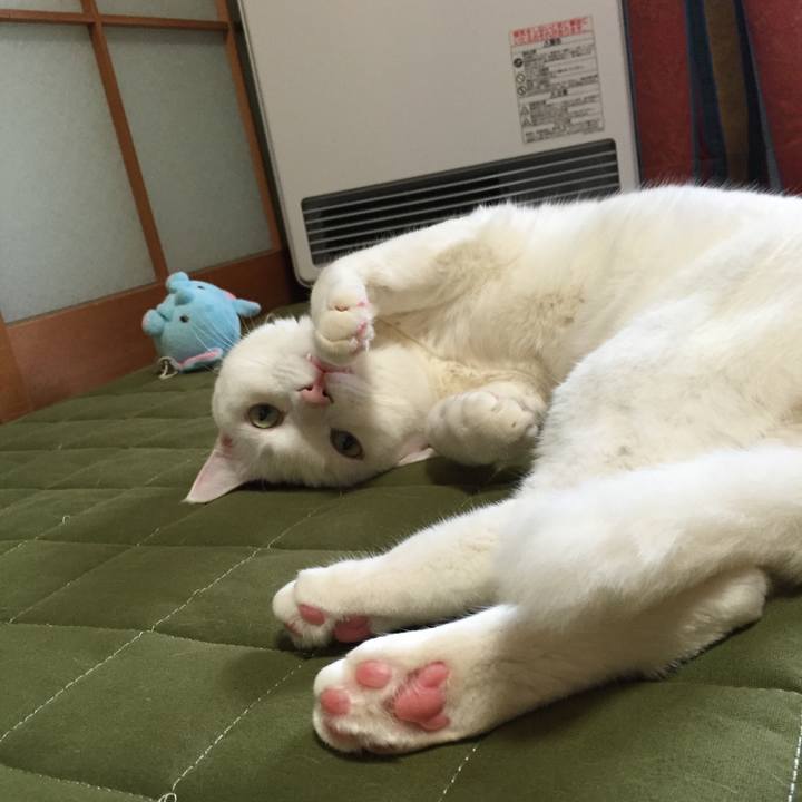 B8a0eeff 891d 4508 b9d8 a739933d5abe