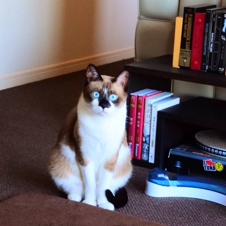 B8a1dc86 9cc9 4a62 b067 c69b5f25afe4