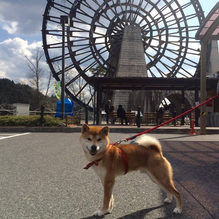 B8a1dfd0 77ad 4b8b bad0 508097fd6c9b