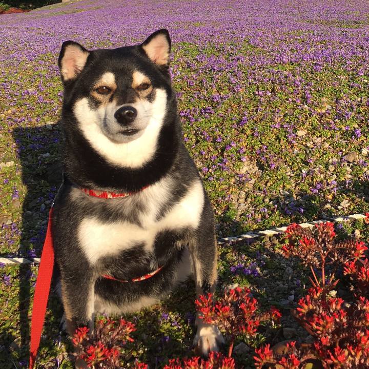 B8a1eed5 509a 4776 bec0 1de8560d2075