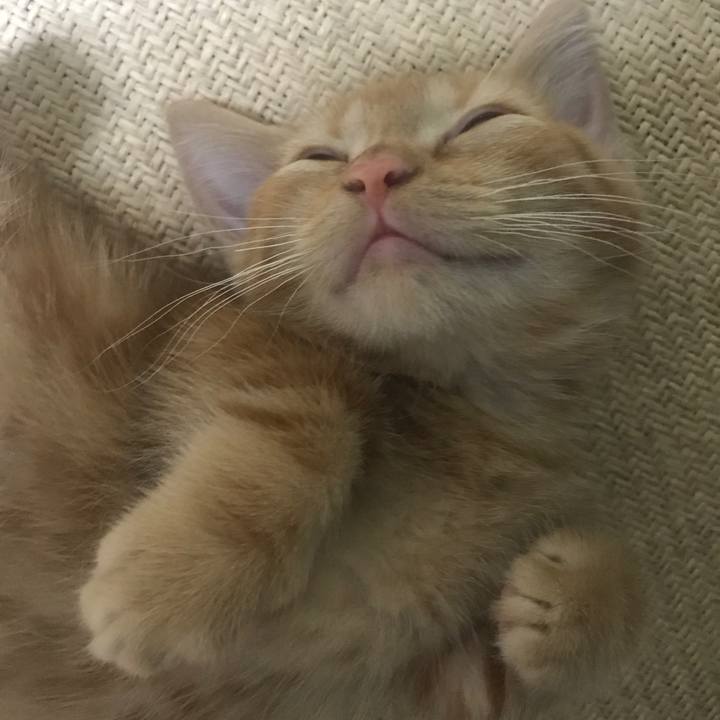 B8a1f4dc 3288 4591 a3e4 343e0520093c