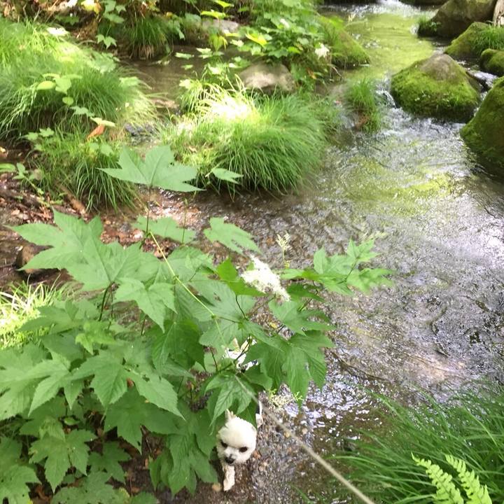 B8a28e63 43bd 4f35 992c de07b63606af