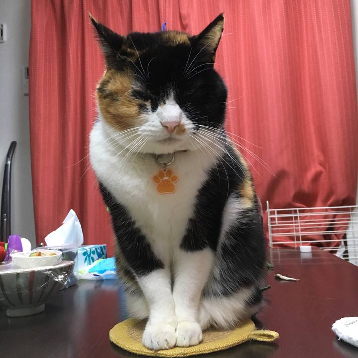 B8a322ec 0a14 4191 ba5e 3e3d70dcfb8d