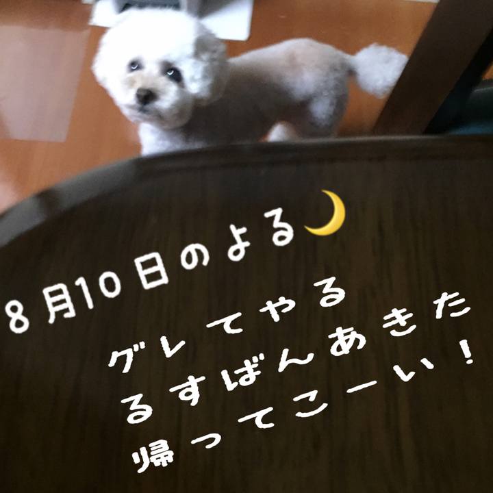 B8a385c9 efa1 4677 9141 e7ad7d8162fa