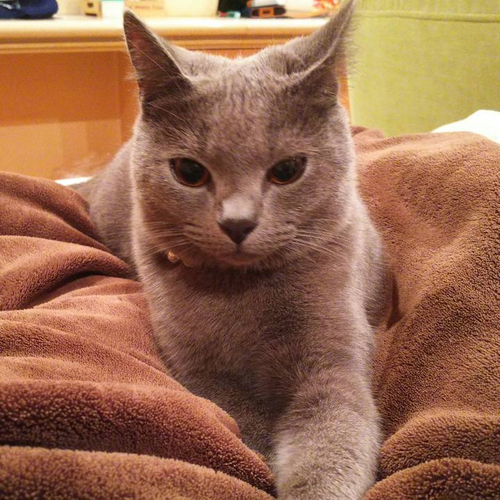 B8a3c6f8 4212 470e 9aa5 a428d3d26abe