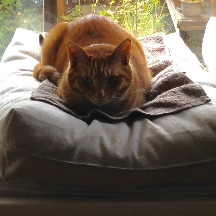 B8a53622 6b26 41c2 a21f a56a712bd6c4