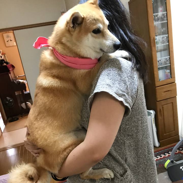 B8a58b5e ce02 4569 a04f 7713ab1b6e04