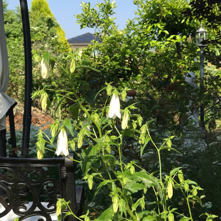 B8a608fb 9a29 4bbc 8605 199cdafd95d4