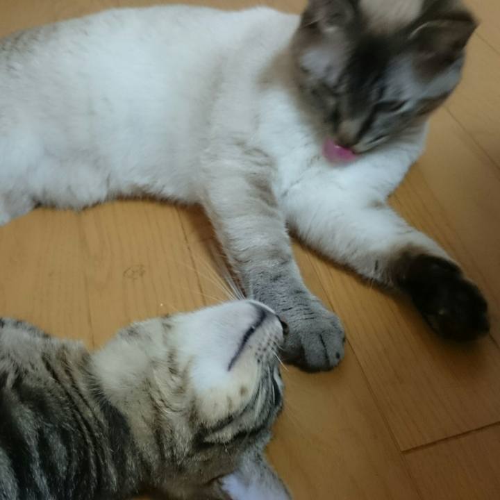 B8a669ab 4d84 42ce 9186 b86b6f8c8ebd