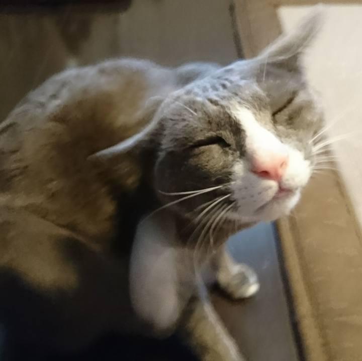 B8a70a55 7ba5 4c53 b39f 8df0ceb05f5e