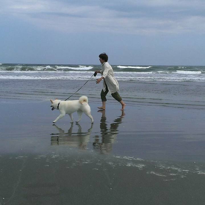 B8a7bd86 f01f 4b12 b794 bdd3a810744f